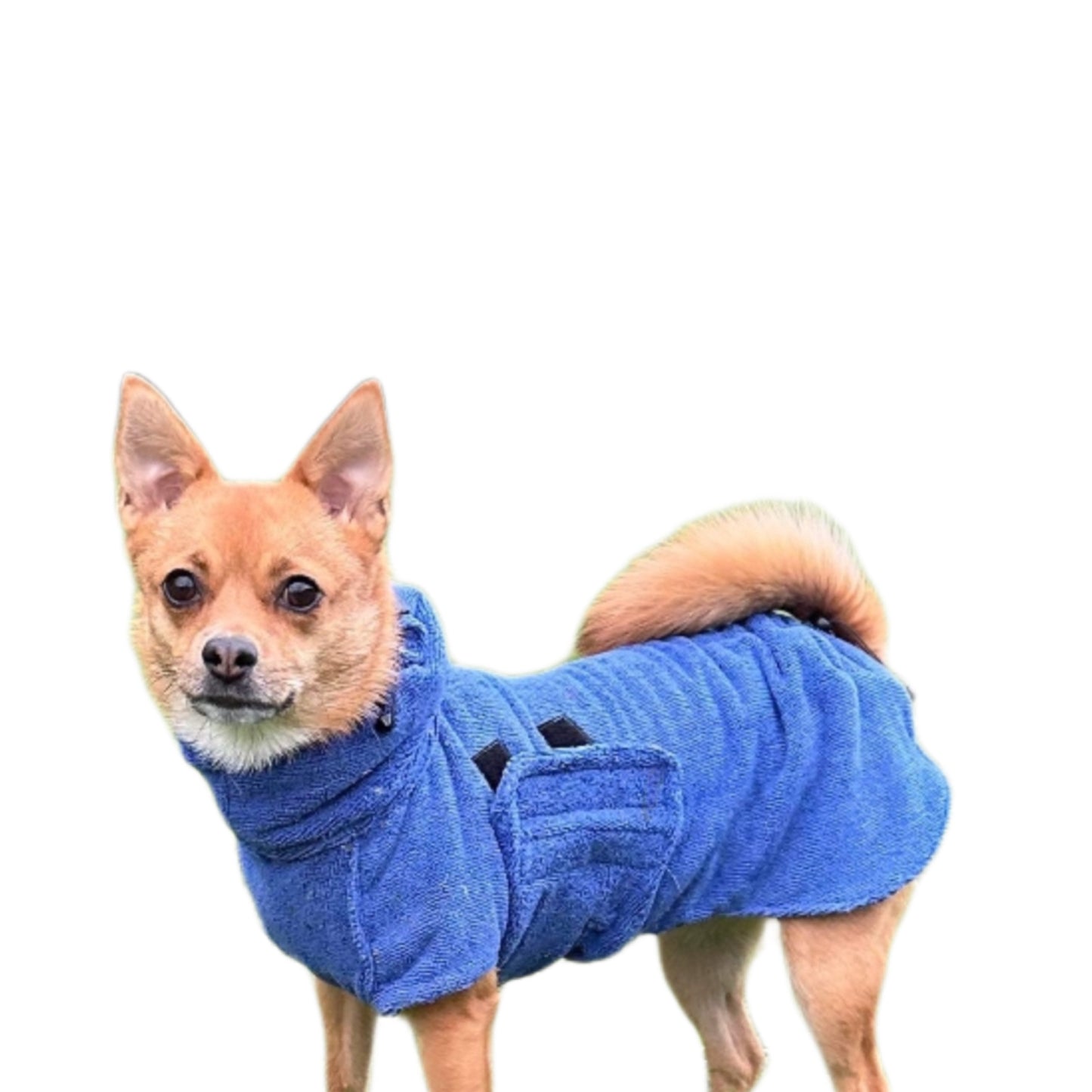 Luxury Dog Drying Coat