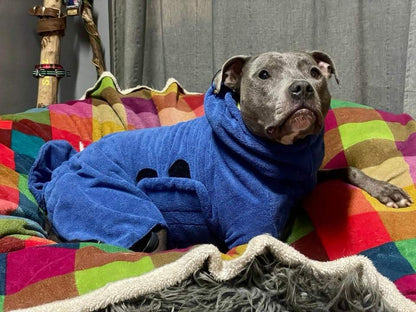 Luxury Dog Drying Coat