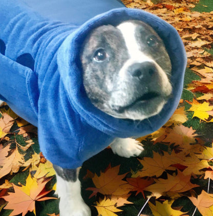 Luxury Dog Drying Coat