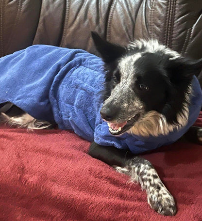 Luxury Dog Drying Coat